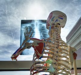 Krankenkasse Dilemma Philipp Schult Physiotherapeut Bergedorf Nettelnburg Wentorf