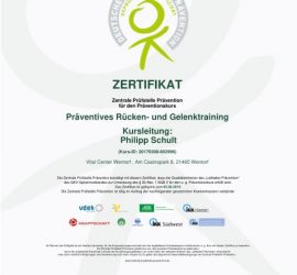präventives Rücken und Gelenktraining Five Präventionskurs Gesundheitskurs Philipp Schult Physiotherapeut Bergedorf Nettelnburg Wentorf